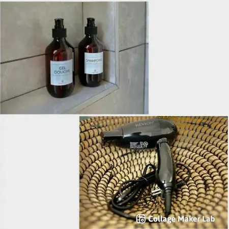 Le Greenstation-gare-hortillonnages-centre * Amiens