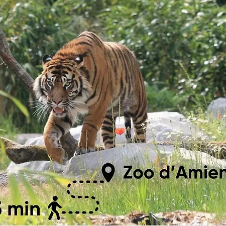 Le Greenstation-gare-hortillonnages-centre *