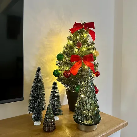 Le Greenstation-gare-hortillonnages-centre Amiens